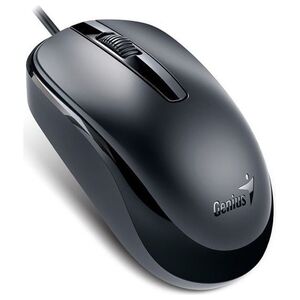 Mysz Genius DX-120 (31010105106)