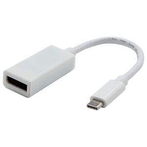 Adapter USB USB-C - DisplayPort Biały