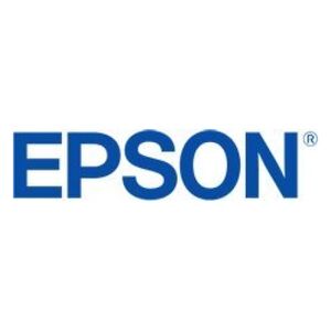 Tusz Epson Epson oryginalny ink / tusz C13T46S900, light gray, Epson SureColor P706,SC-P700