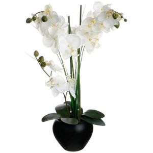 Atmosphera Orchidea w czarnej doniczce 53 cm
