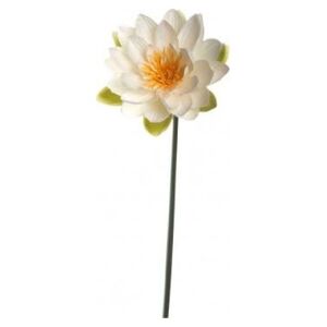 Leonardo Kwiat lilia wodna 75 Fiore