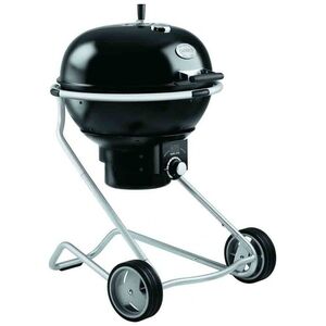 Roesle F60 Air Grill ogrodowy węglowy 60 cm x 60 cm