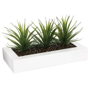Atmosphera Sztuczna roślina, 3 x aloes w białej donicy, 31 cm
