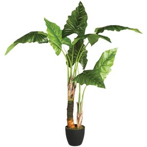 Atmosphera Sztuczna roślina w donicy BANANOWIEC, 132 cm