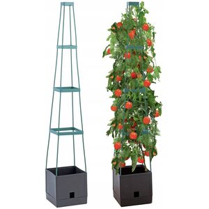 Maximex Doniczka z podporami do uprawy pomidorów, roślin pnących, 150 cm