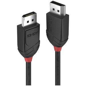 Kabel Lindy DisplayPort - DisplayPort 2m czarny (36492)
