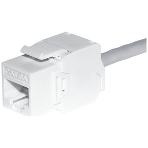 NetRack Moduł keystone Jack RJ45 kat. 6A UTP, beznarzędziowy, biały Netrack
