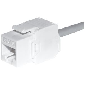 NetRack Moduł keystone Jack RJ45 kat. 5e UTP, beznarzędziowy Netrack, biały