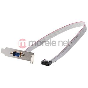 Delock Śledź niskoprofilowy 1x COM DB9 (89300)