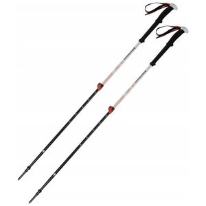 Black Diamond Kije Skitourowe Black Diamond Expedition 2 Ski Poles 155 cm