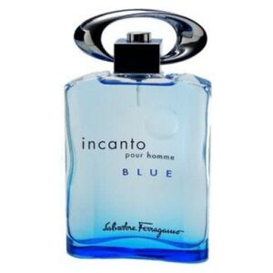 Salvatore Ferragamo Incanto Pour Homme Blue EDT 100 ml
