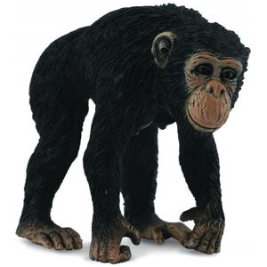 Figurka Collecta Szympans samica (004-88493)