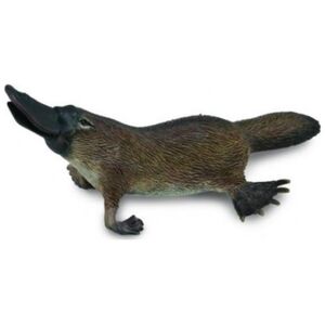 Figurka Collecta Dziobak Austrialijski (M)