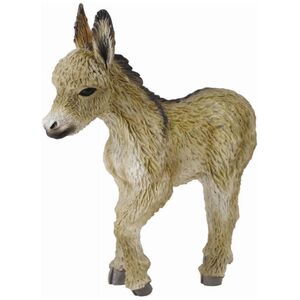 Figurka Collecta Źrebię osła (004-88409)
