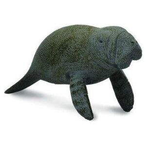 Figurka Collecta SŁOŃ MORSKI MŁODY PŁYWAJĄCY