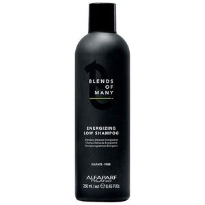 Alfaparf Blends Of Many 250ml