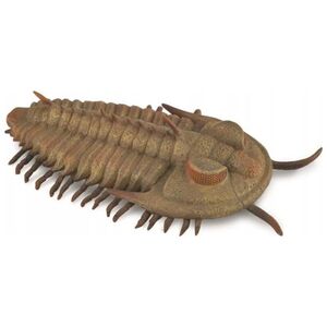 Figurka Collecta FIGURKA REDLICHIA REX TRYLOBIT - CollectA - 88906 - L