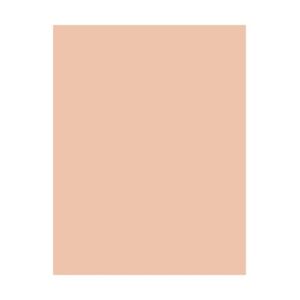 Dior DIOR DIORSKIN FOREVER CUSHION POWDER 010 FAIR 10g