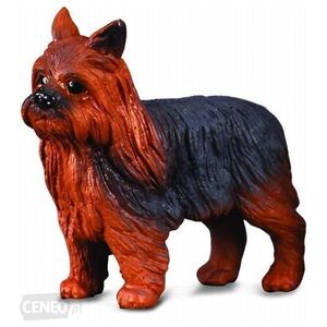 Figurka Collecta Pies Yorkshire Terier