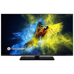Telewizor GoGEN TVF 43M340 STWEB LED 43'' Full HD