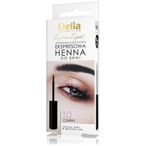 Delia Eyebrow Expert jednoskładnikowa ekspresowa henna do brwi 1.0 Czarny 6ml