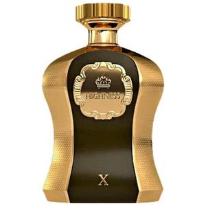 Afnan Afnan Highness X edp 100ml