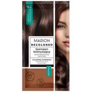 Marion Marion Recolored szampon koloryzujący 4.3 Orzechowy Brąz 35ml