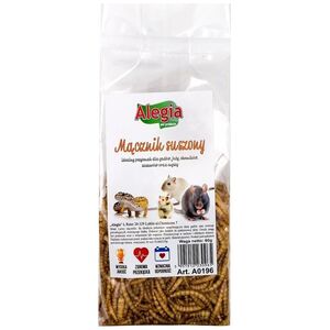 TRITON ALEGIA Mącznik suszony 60g