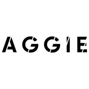 AGGIE_Bronzer w sztyfcie 8,5g