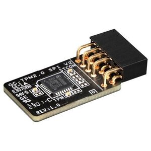 Gigabyte Gigabyte GC-TPM 2.0 SPI V2