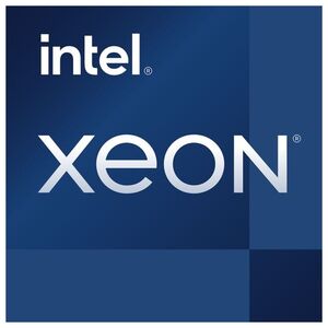 Procesor serwerowy Intel Xeon E-2378, 2.6 GHz, 16 MB, OEM (CM8070804495612)