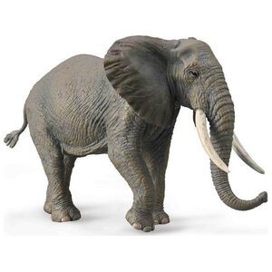 Figurka Collecta COLLECTA SŁOŃ AFRYKAŃSKI