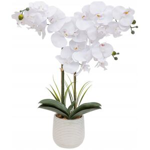 Atmosphera Τεχνητή ορχιδέα σε γλάστρα RIVA, 60 cm 13457172 3560232812033