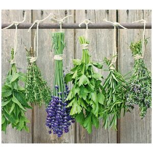Zeller LAVENDER προστατευτική πλάκα για τη σόμπα – μεγάλη, ZELLER 13429088 4003368263014