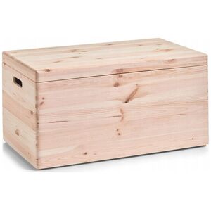 Zeller Storage δοχείο, organizer με κάλυμμα, 30 l, ZELLER 13429047 4003368131528