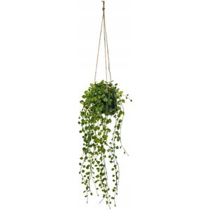 Κρεμαστό φυτό Atmosphera Artificial Peperomia, Ø 18 x 62 cm 13429377 3560238334737