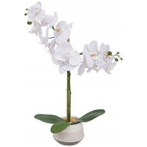 Atmosphera Λευκή τεχνητή ορχιδέα σε γλάστρα CLERA, 52 cm 13460195 3560232812057