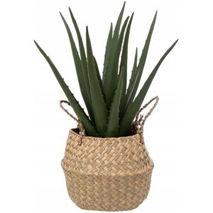 Atmosphera Τεχνητό φυτό ALOE σε καλάθι, 37 cm 13430181 3560231660567