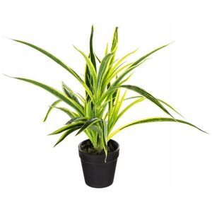 Ατμόσφαιρα Τεχνητό φυτό σε γλάστρα, GRASS, 30 cm 13431363 5902973413489