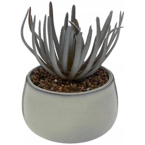 Atmosphera Τεχνητό παχύφυτο σε γλάστρα CAF, ύψος 18 cm 13431975 3560232683893