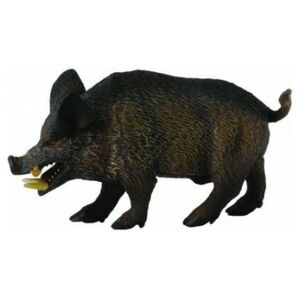 Figurka Collecta Dzik Odyniec (004-88363)