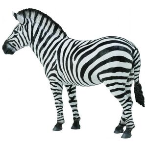 Figurka Collecta Zebra Common (004-88830)