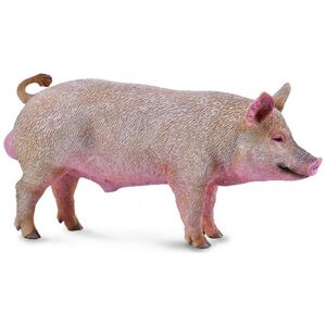 Figurka Collecta BOAR