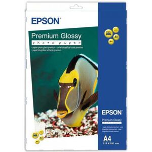 Epson Papier fotograficzny do drukarki A4 (C13S042169)