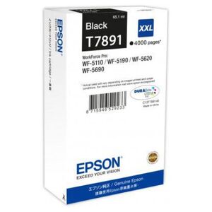 Tusz Epson Tusz C13T789140 (black)