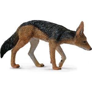 Figurka Collecta Szakal Czarpakowy (004-88665)