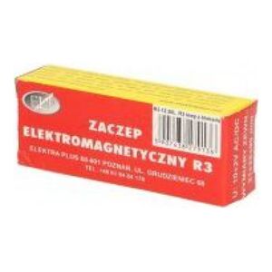 Orno Elektrozaczep bez pamięci z blokadą uniwersalny (R3-12.20L)