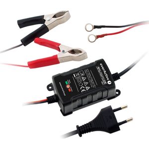 EverActive automatyczny prostownik do akumulatora 6V/12V 1A (4995726)