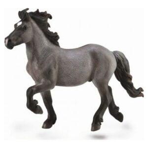 Figurka Collecta KOŃ BLUE DUN ICELANDIC STAILLION