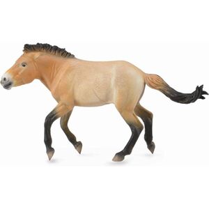 Figurka Collecta Ogier Przewalski (88602)